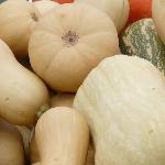 Click here for more information about Fresh Butternut Squash